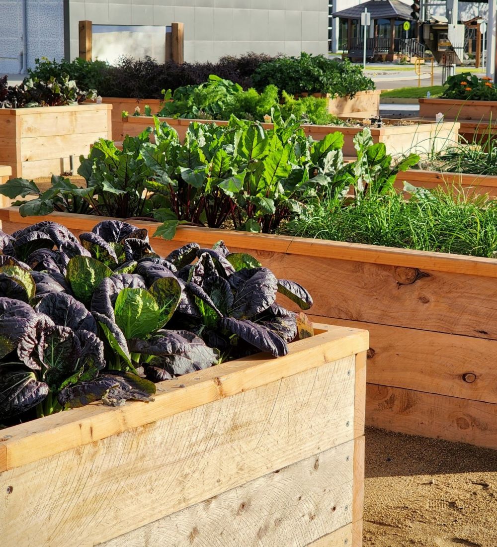 Enviro-Friendly Landscaping Products