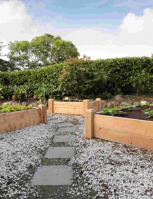 Macbox Macrocarpa Planter