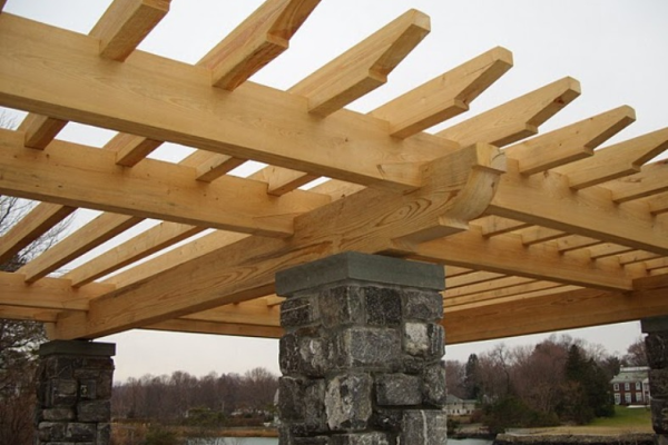 Macrocarpa Beams