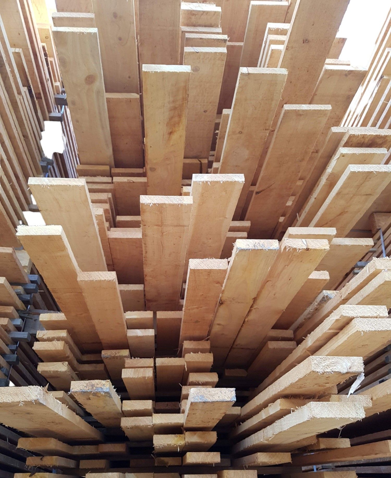 Macrocarpa Sawn and Dressed Timber
